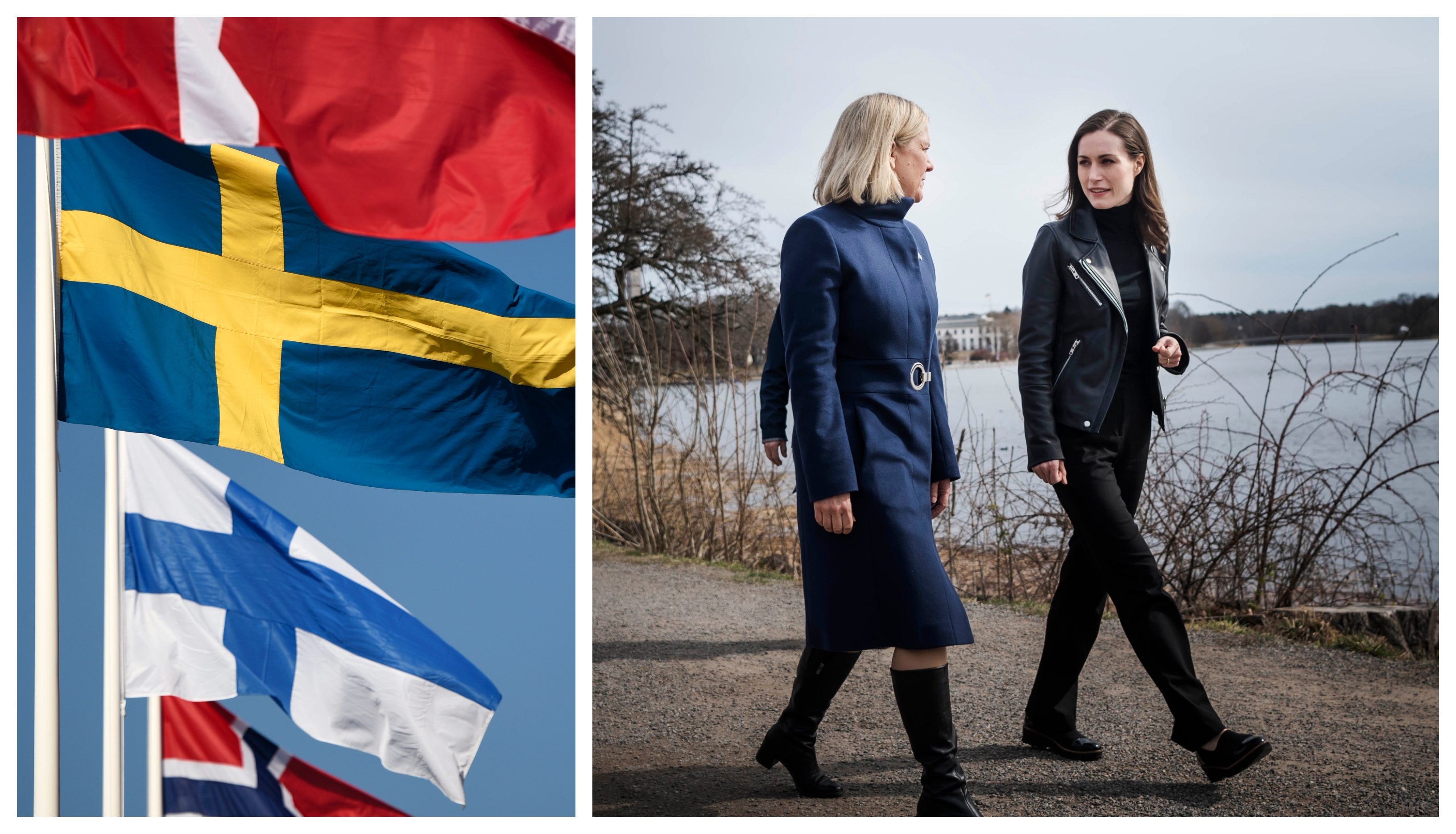 Hur troligt är det att Finland ansöker till Nato utan Sverige?